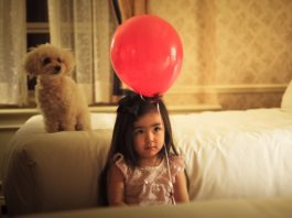 pet e possesso responsabile