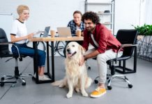 cane in ufficio