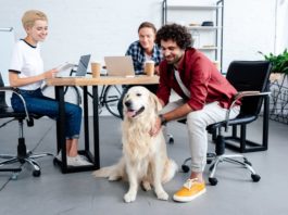 Oggi si celebra la Giornata Mondiale del cane in ufficio cane in ufficio