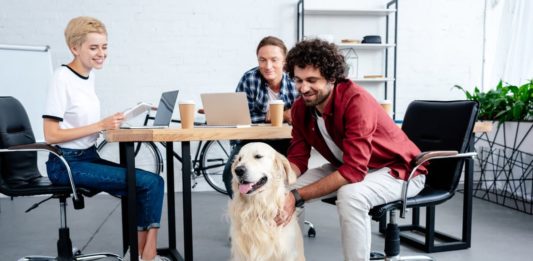 cane in ufficio