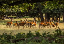parchi naturali pacchetto natura