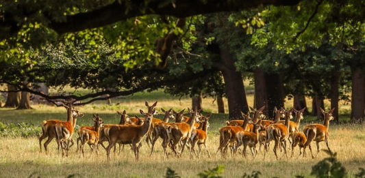 parchi naturali pacchetto natura