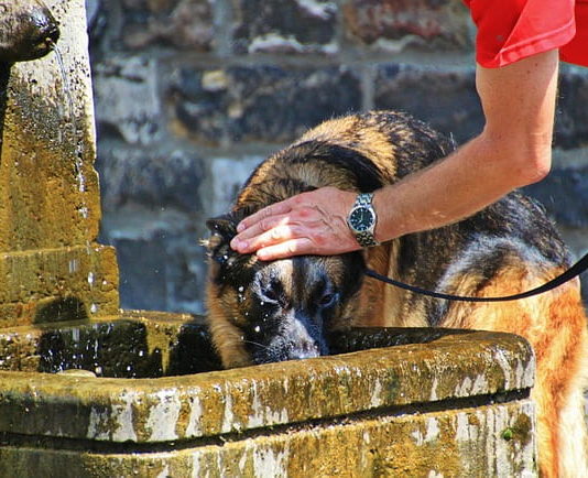 colpo di calore