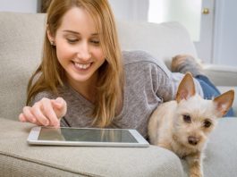 pet sitter ideale