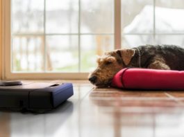 problema dei peli persi