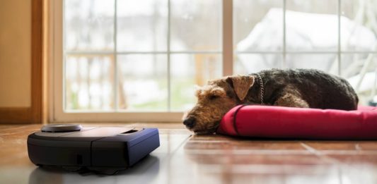 problema dei peli persi