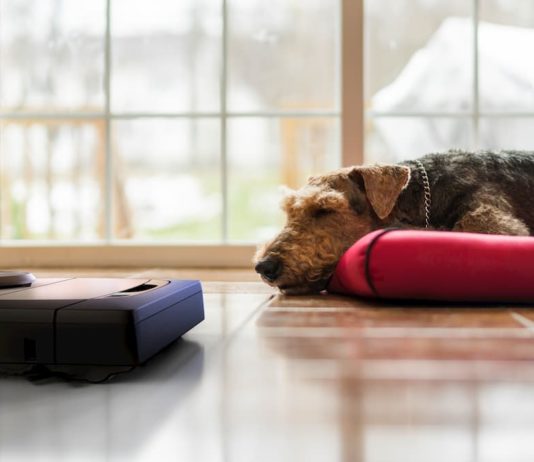 problema dei peli persi