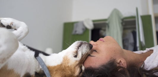 Aiuto, il mio animale sta male! Come comportarsi nelle emergenze? il mio animale sta male
