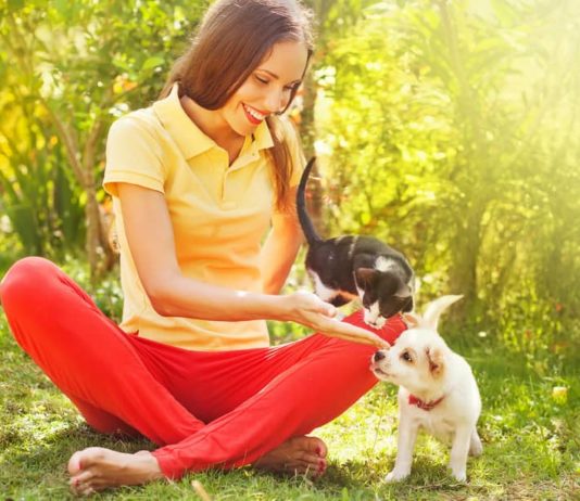 alimentazione degli animali domestici