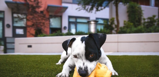 diversi tipi di gioco