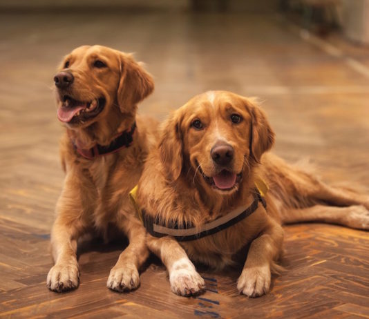 prevenzione dell'iperplasia prostatica