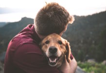 animali come esseri senzienti