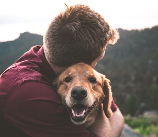 animali come esseri senzienti