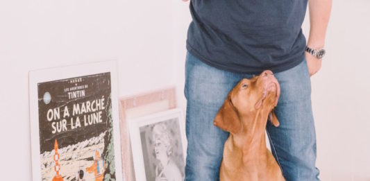 prevenzione degli attacchi epilettici