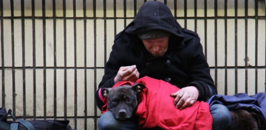 Nasce a Milano la prima casa per senzatetto con un cane senzatetto