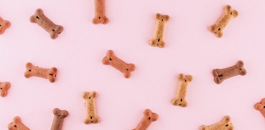 crocchette agli insetti