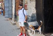 nomi più comuni tra i cani