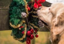 rischi del natale