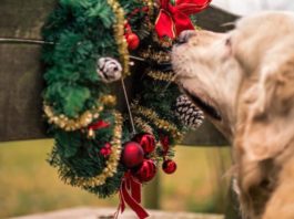 rischi del natale