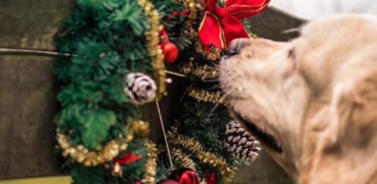 rischi del natale