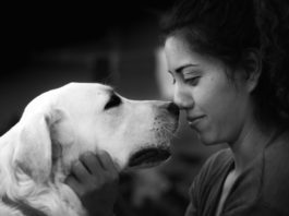 Il cane assume l’umore del suo proprietario? Lo rileva uno studio il cane assume l'umore del suo proprietario