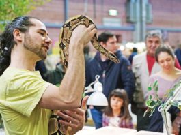 animali dal mondo