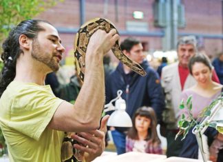 animali dal mondo