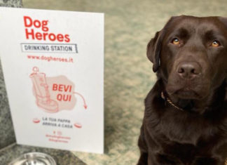 Dog Heroes