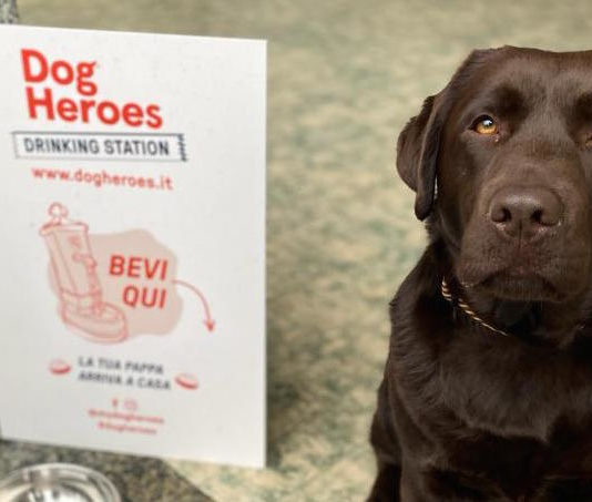 Dog Heroes