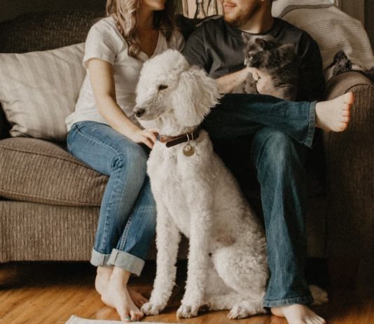 animali-da-compagnia