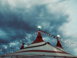 tradizione del circo con animali