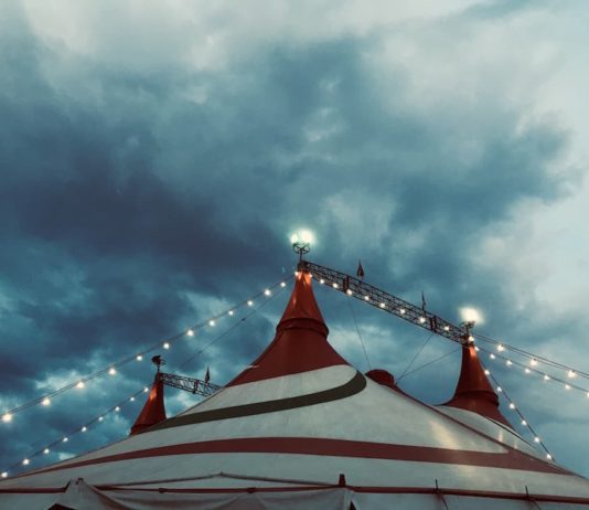 Tradizione del circo con animali: verso un legittimo tramonto? tradizione del circo con animali