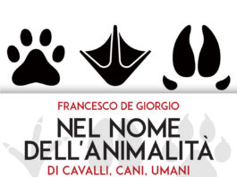 animalità
