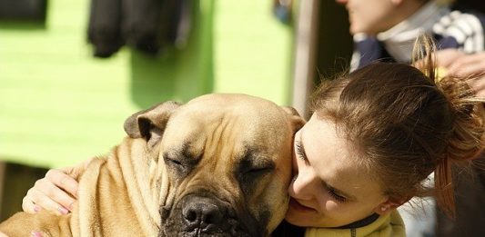 animali al tempo del coronavirus