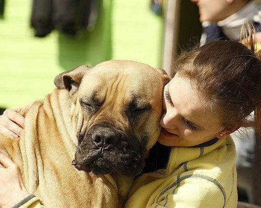 Animali al tempo del Coronavirus, quali sono le raccomandazioni? animali al tempo del coronavirus