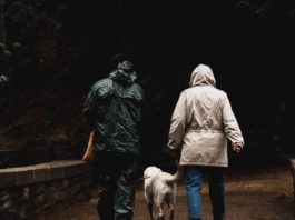 cane ha paura del temporale