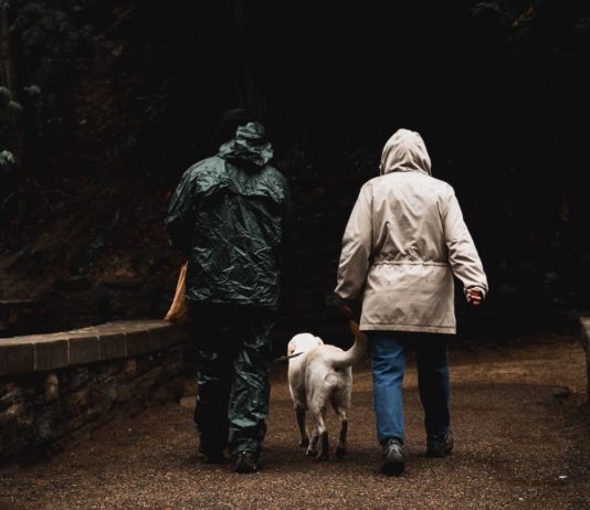 cane ha paura del temporale