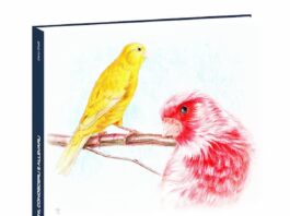 I-canarini-conoscerli-e-allevarli