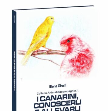 I canarini, conoscerli e allevarli I-canarini-conoscerli-e-allevarli