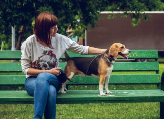 Arriva Peter App, l’applicazione di dating per gli amanti degli animali peter app