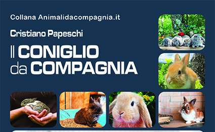 Il-coniglio-da-compagnia-copertina-Point-Vétérinaire-Italie