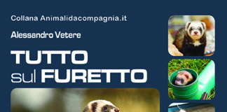 tutto-sul-furetto-copertina-Edizioni-pvi