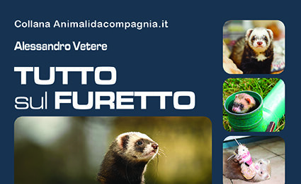 tutto-sul-furetto-copertina-Edizioni-pvi