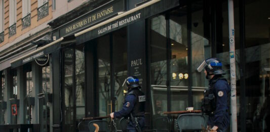 cani da lavoro militari