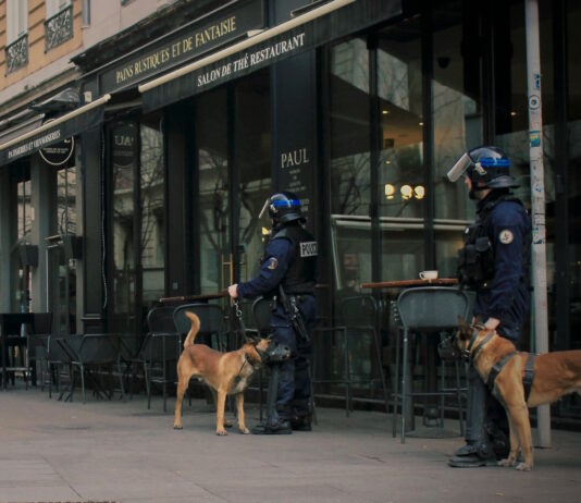 cani da lavoro militari