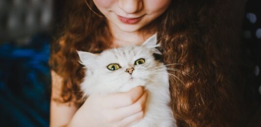 come accarezzare un gatto
