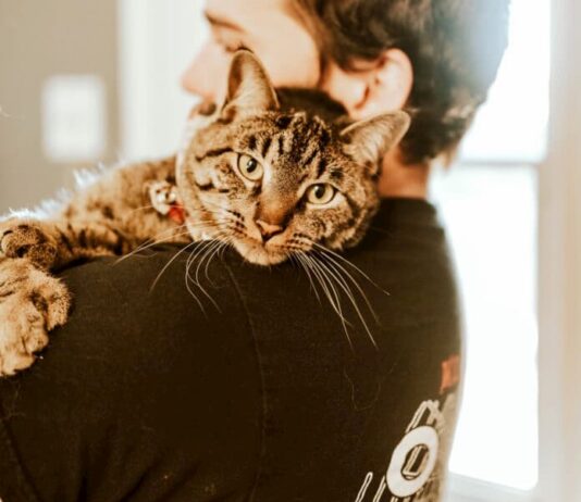 Sei anaffettivo con il gatto? Potresti causargli un disagio psico-fisico gatto-anaffettivo