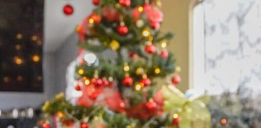 Un Natale sereno e sicuro per gli amici volatili? Ecco cosa sapere natale-volatili