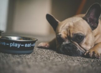 brand-ecosostenibili