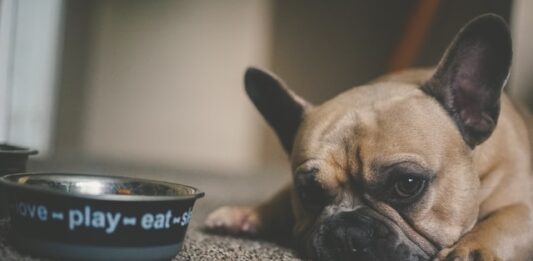 brand-ecosostenibili